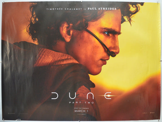Dune: Part Two (Chalamet Teaser / Advance Version) Original Quad Poster - Film Poster - Movie Poster 