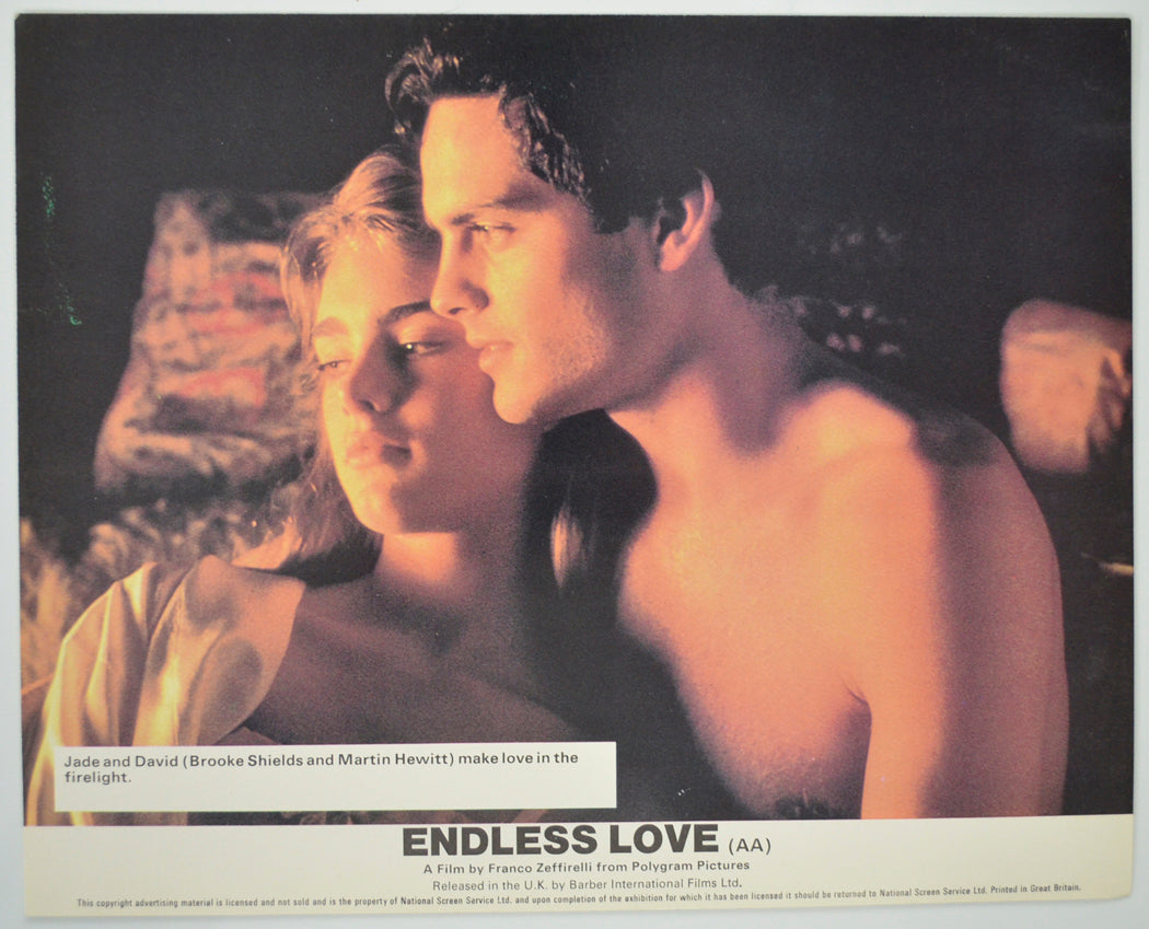 ENDLESS LOVE (Card 2) Cinema Set of Colour FOH Stills / Lobby Cards 