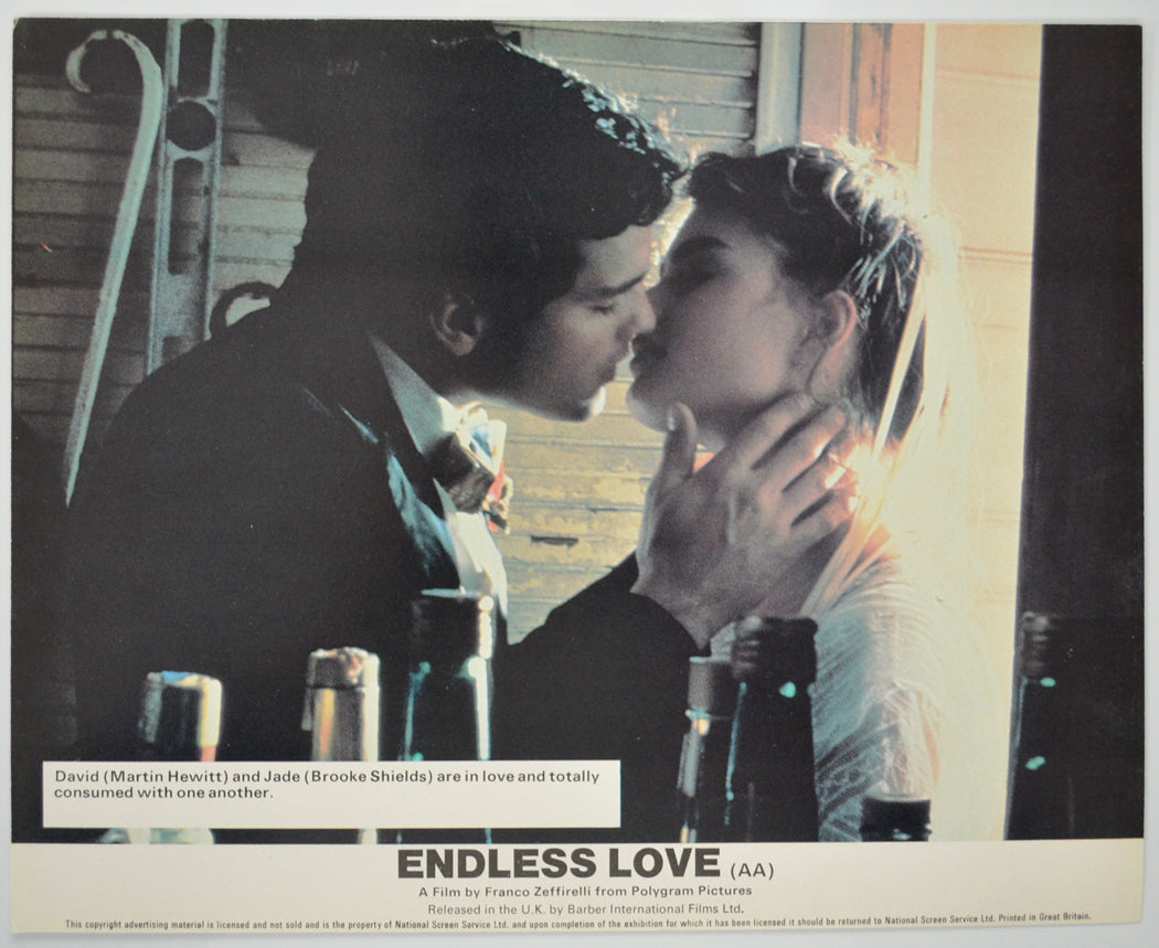 ENDLESS LOVE (Card 3) Cinema Set of Colour FOH Stills / Lobby Cards 