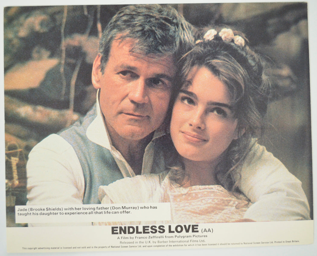 ENDLESS LOVE (Card 6) Cinema Set of Colour FOH Stills / Lobby Cards 