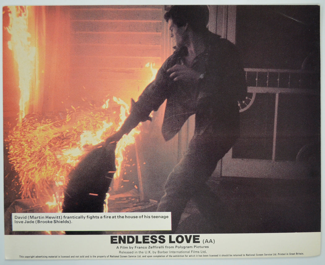 ENDLESS LOVE (Card 8) Cinema Set of Colour FOH Stills / Lobby Cards 