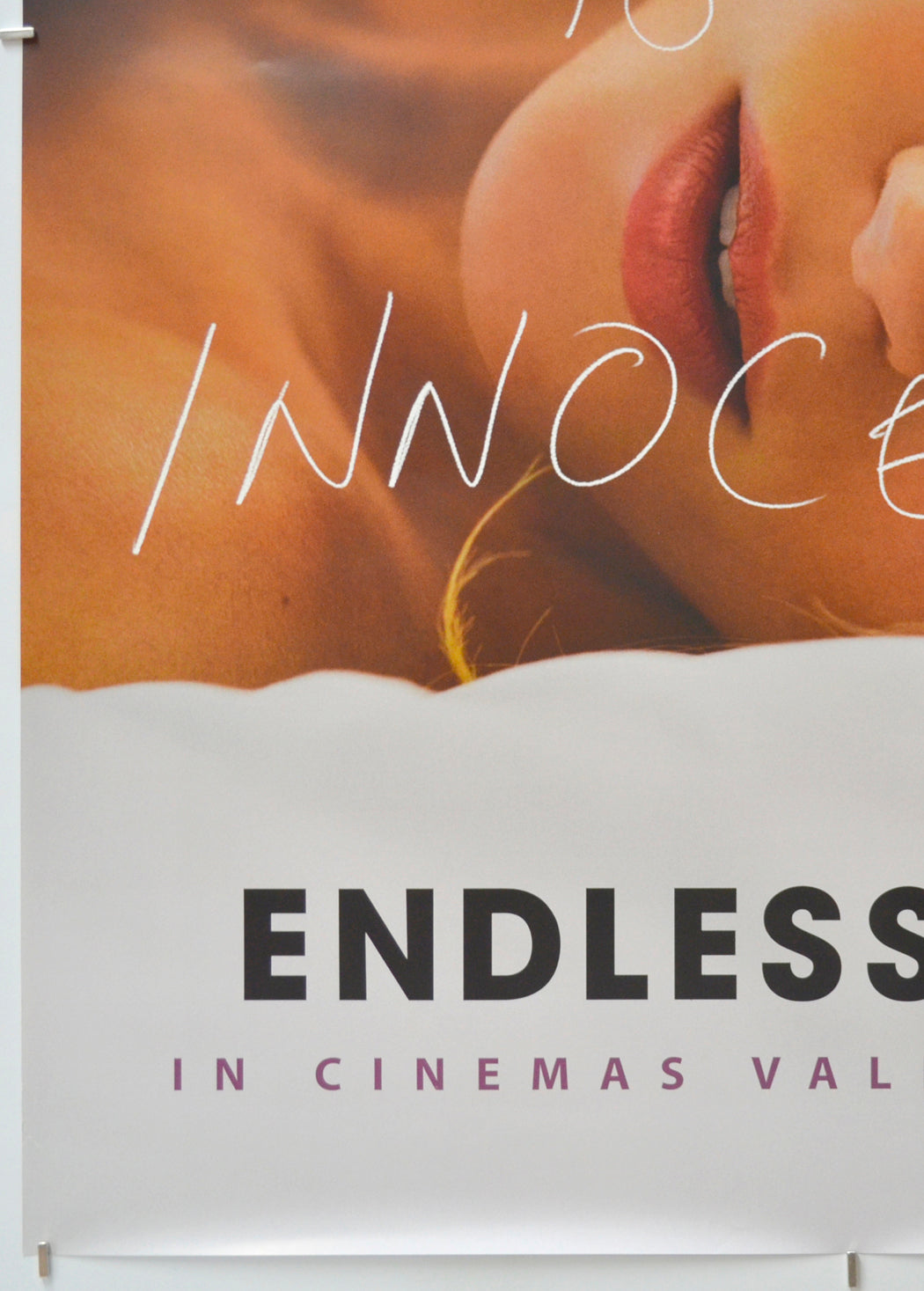 ENDLESS LOVE (Bottom Left) Cinema One Sheet Movie Poster 