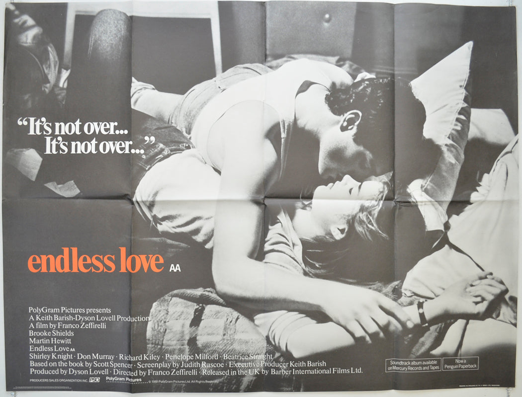 Endless Love Original Quad Poster - Film Poster - Movie Poster  