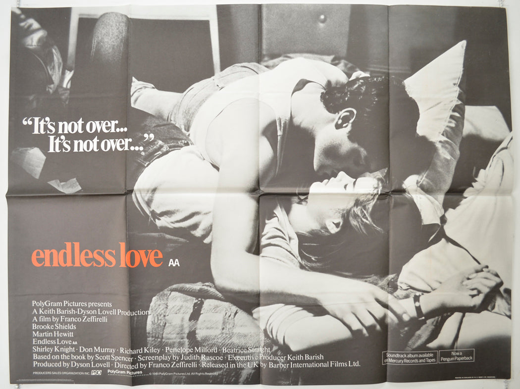 Endless Love  Original Quad Poster - Film Poster - Movie Poster 