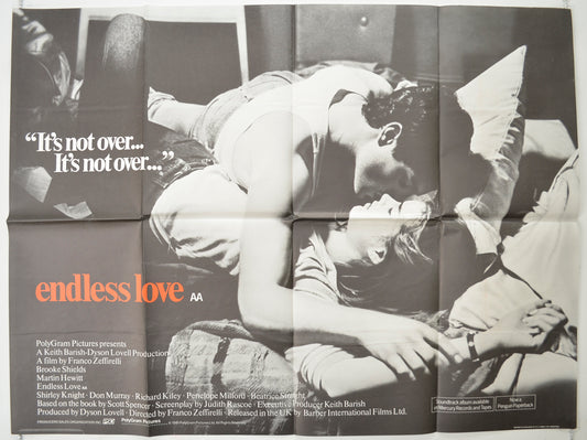 Endless Love  Original Quad Poster - Film Poster - Movie Poster 