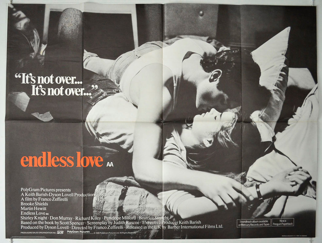 Endless Love Original British Quad Poster - Movie Poster