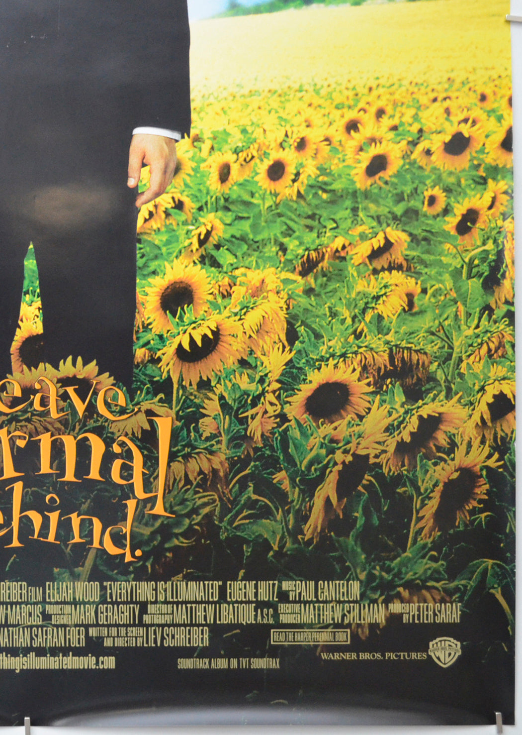 EVERYTHING IS ILLUMINATED (Bottom Right) Cinema One Sheet Movie Poster 