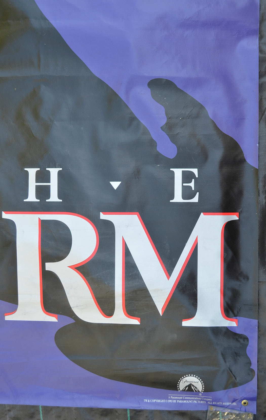 THE FIRM Cinema BANNER Bottom Right  