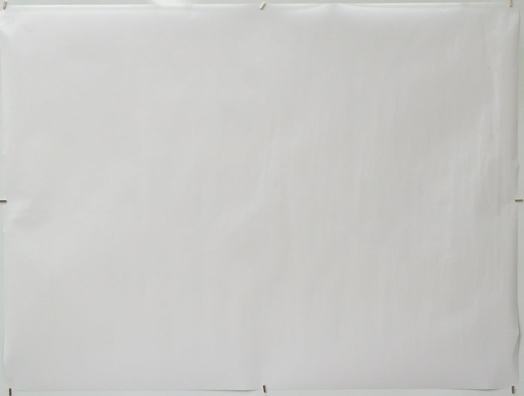 Flow (Back) Cinema Quad Movie Poster 