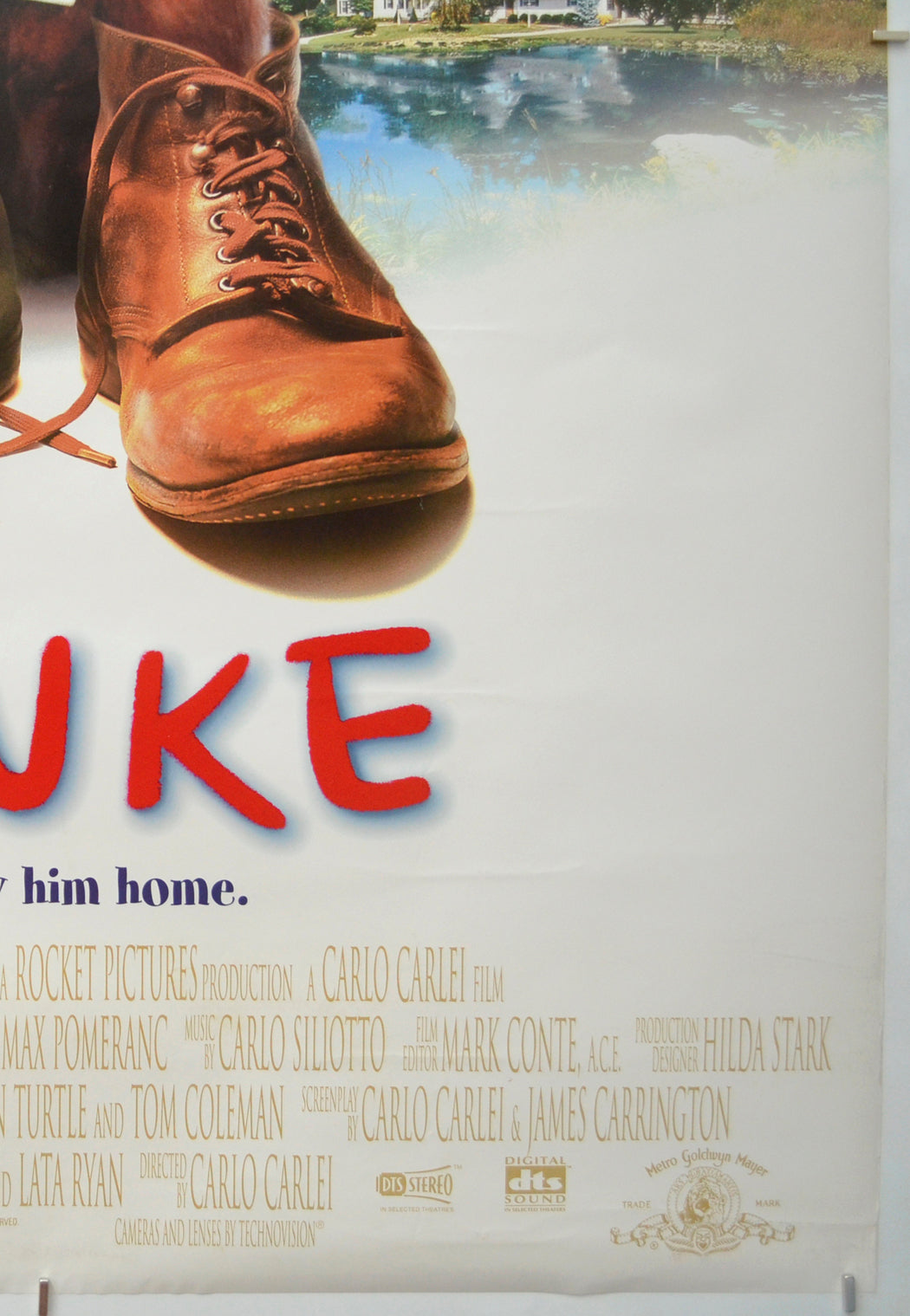 FLUKE (Bottom Right) Cinema One Sheet Movie Poster 