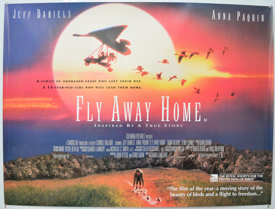 Fly Away Home Original Quad Poster - Film Poster - Movie Poster