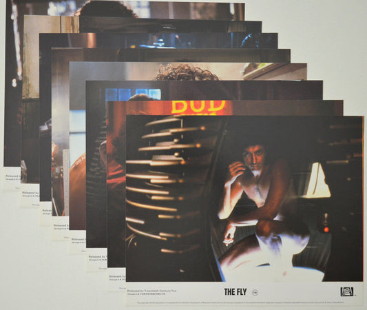 THE FLY (Full View) Cinema Set of Colour FOH Stills / Lobby Cards  