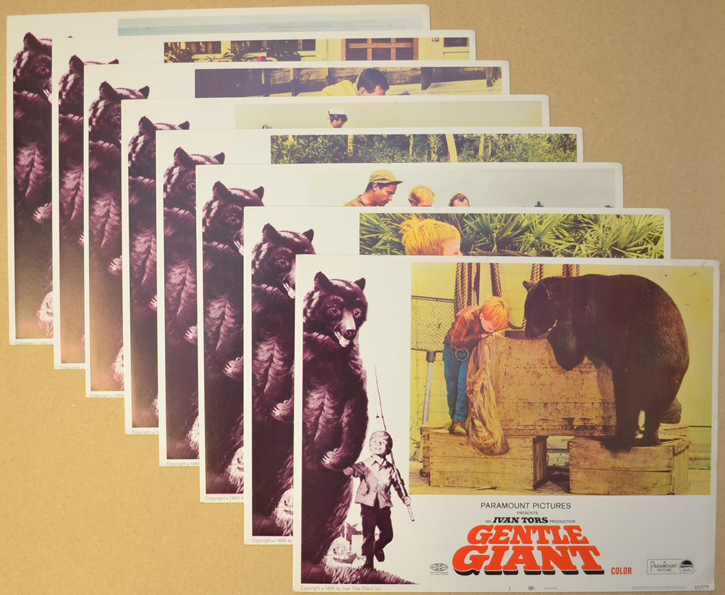 Gentle Giant  (Gentle Ben) Set Of 8 Original Cinema Lobby Cards 