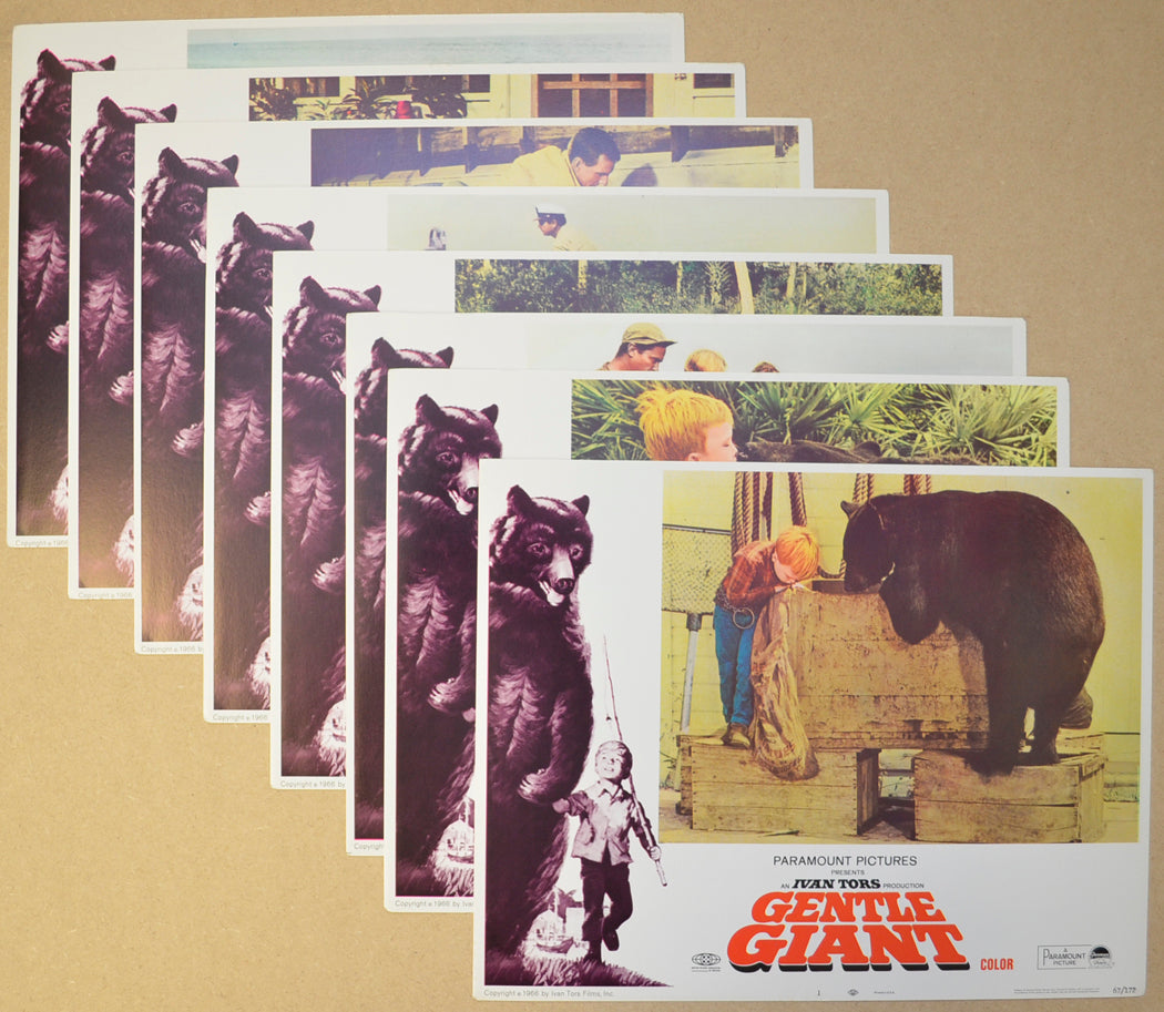 Gentle Giant  (Gentle Ben) Set Of 8 Original Cinema Lobby Cards 