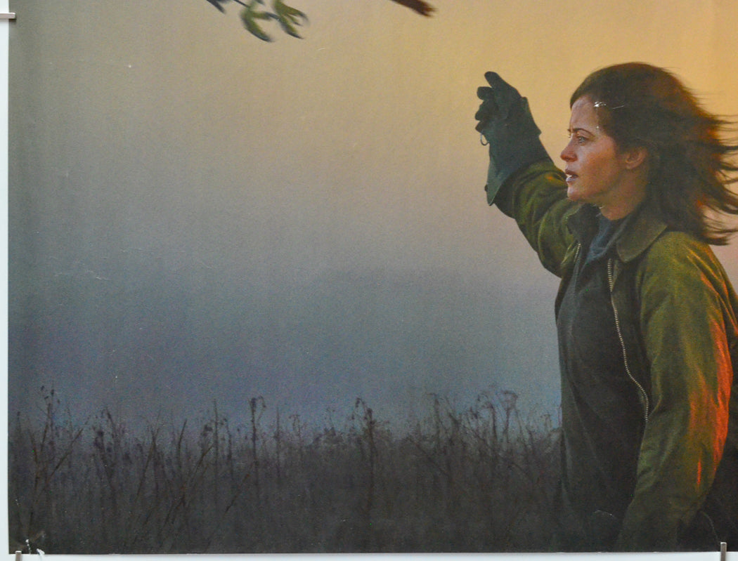 H is for Hawk (Bottom Left) Cinema Quad Movie Poster 