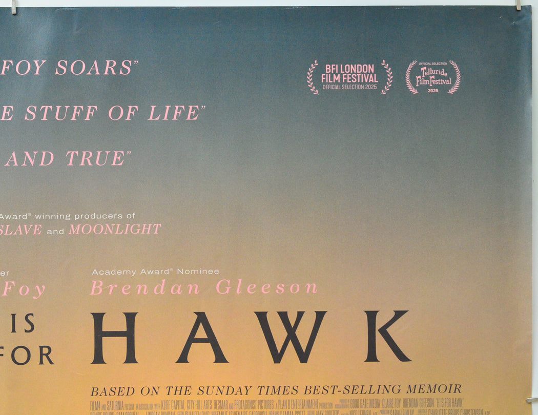 H is for Hawk (Top Right) Cinema Quad Movie Poster 