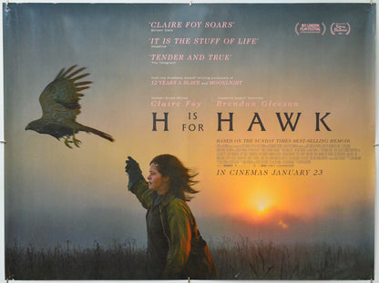 H is for Hawk - Original Quad Poster - Film Poster - Movie Poster
