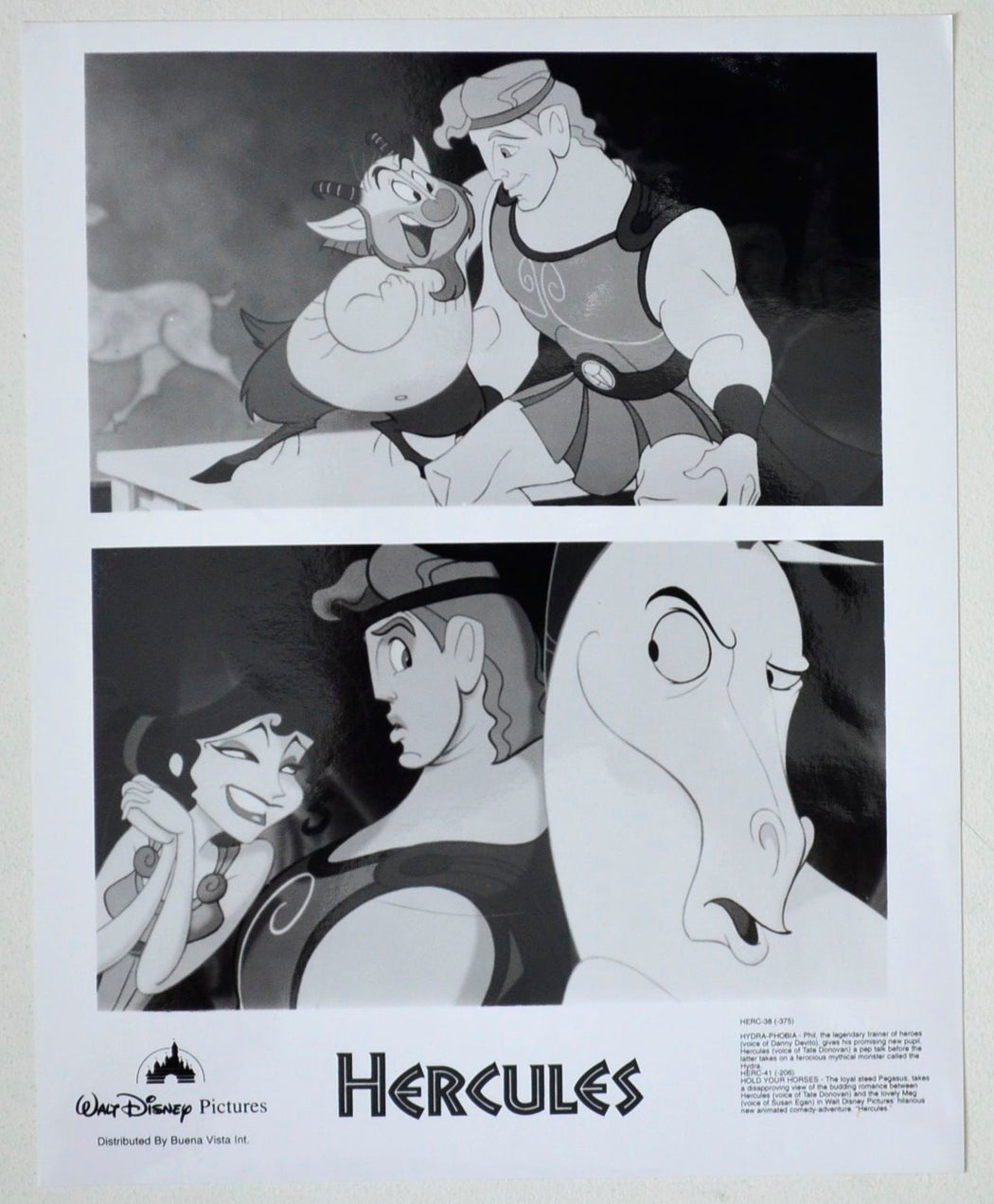 Hercules    Original Cinema Front Of House (FOH) Black And White Still – Press Still – Movie Still     