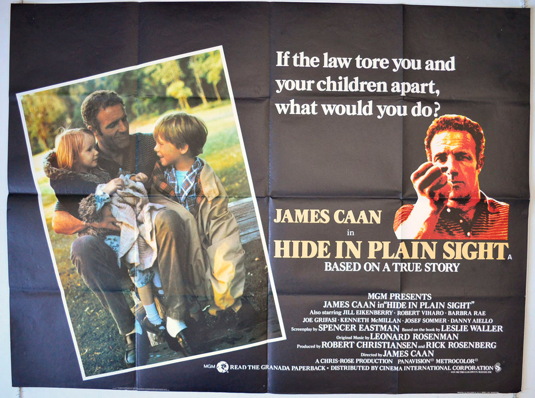 Hide In Plain Sight Original British Quad Poster - Movie Poster