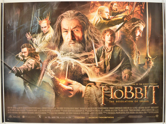 The Hobbit : The Desolation Of Smaug  Original Quad Poster - Film Poster - Movie Poster 