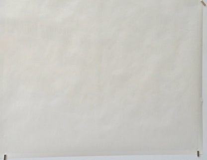 Home Alone 2 : Lost In New York (Back Bottom Right) Cinema Quad Movie Poster 