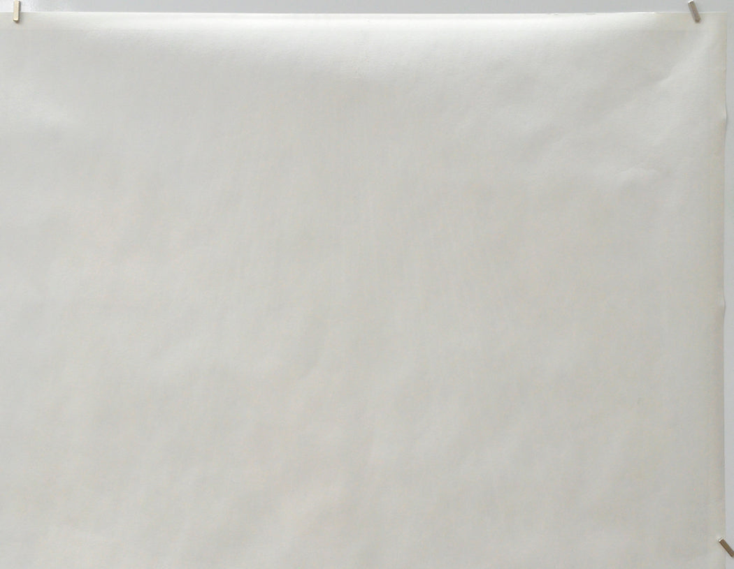 Home Alone 2 : Lost In New York (Back Top Right) Cinema Quad Movie Poster 