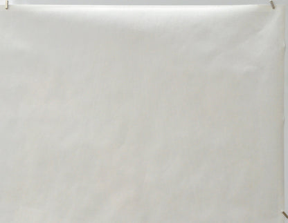 Home Alone 2 : Lost In New York (Back Top Right) Cinema Quad Movie Poster 