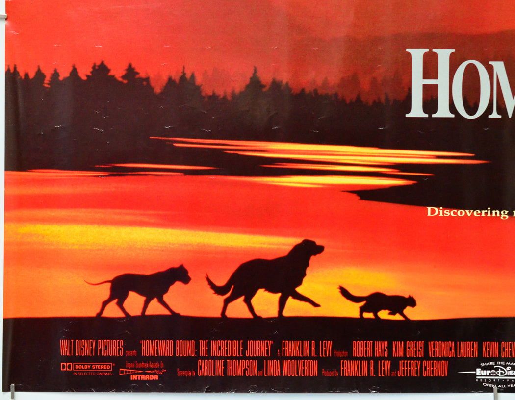 Homeward Bound : The Incredible Journey (Bottom Left) Cinema Quad Movie Poster 