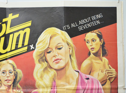 HOT BUBBLEGUM (Top Right) Cinema Quad Movie Poster 