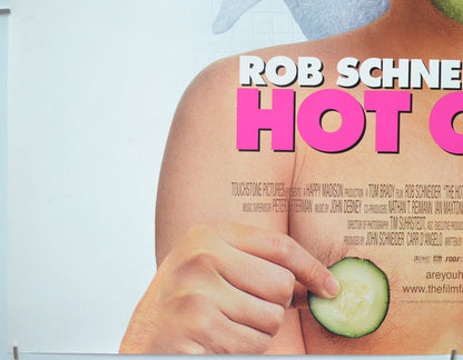 THE HOT CHICK (Bottom Left) Cinema Quad Movie Poster 