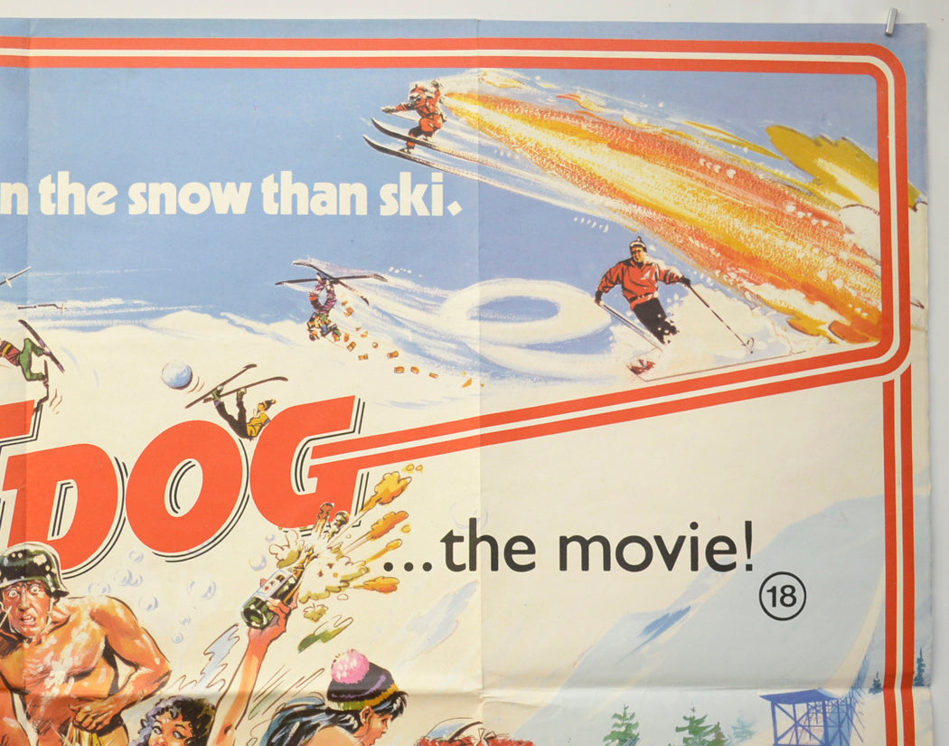 HOT DOG.. THE MOVIE (Top Right) Cinema Quad Movie Poster 