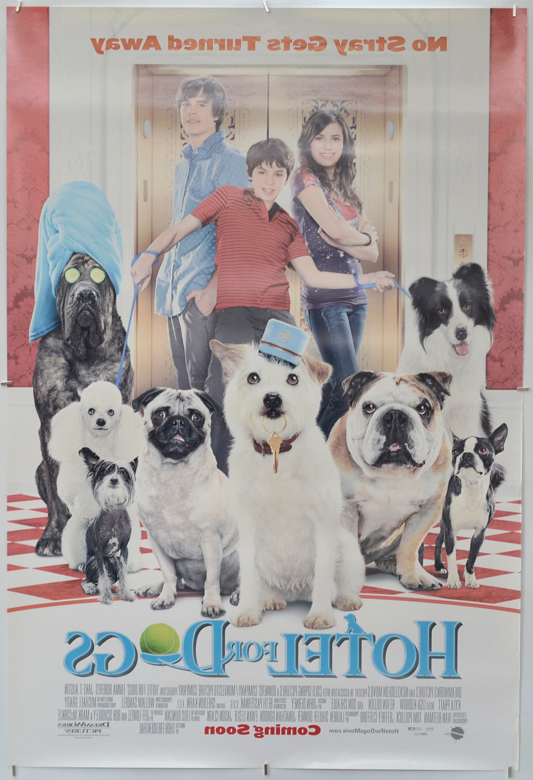 Hotel For Dogs (Back) Cinema One Sheet Movie Poster 