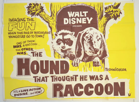 The Hound That Thought He Was A Raccoon  Original British Quad Poster - Film Poster - Movie Poster 