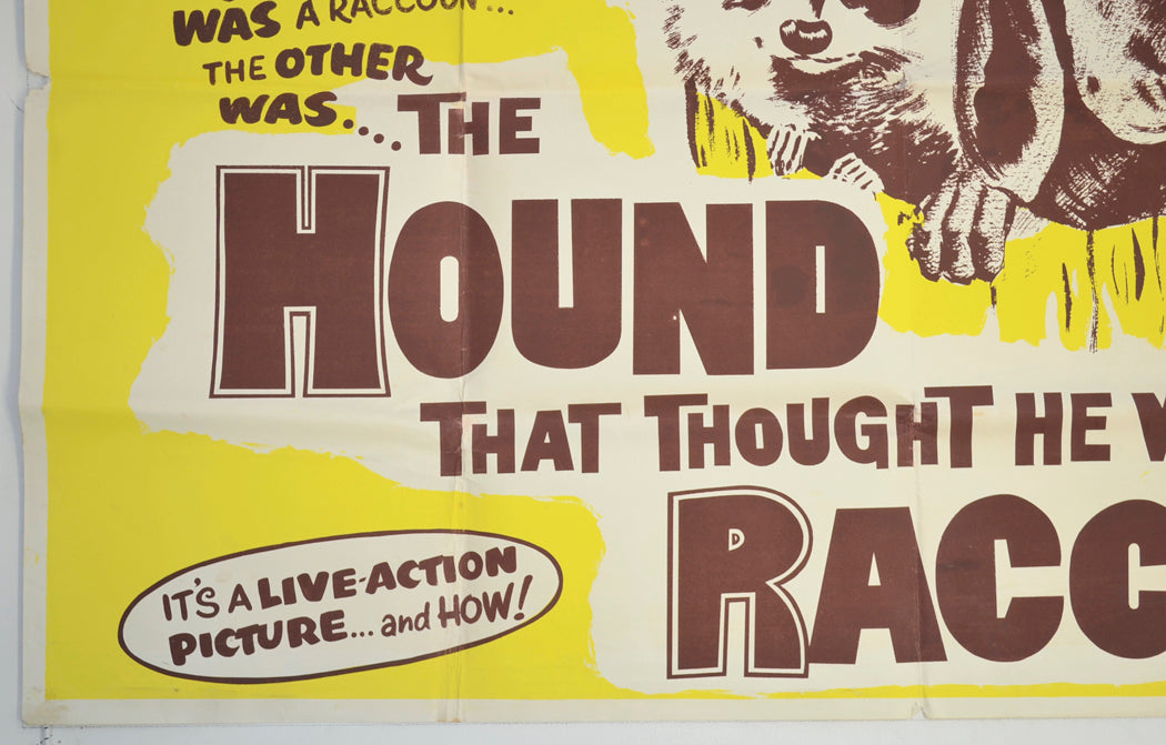 THE HOUND THAT THOUGHT HE WAS A RACCOON (Bottom Left) Cinema Quad Movie Poster 