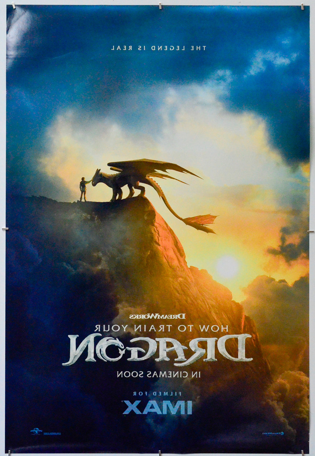 How To Train Your Dragon (Back) Cinema One Sheet Movie Poster 