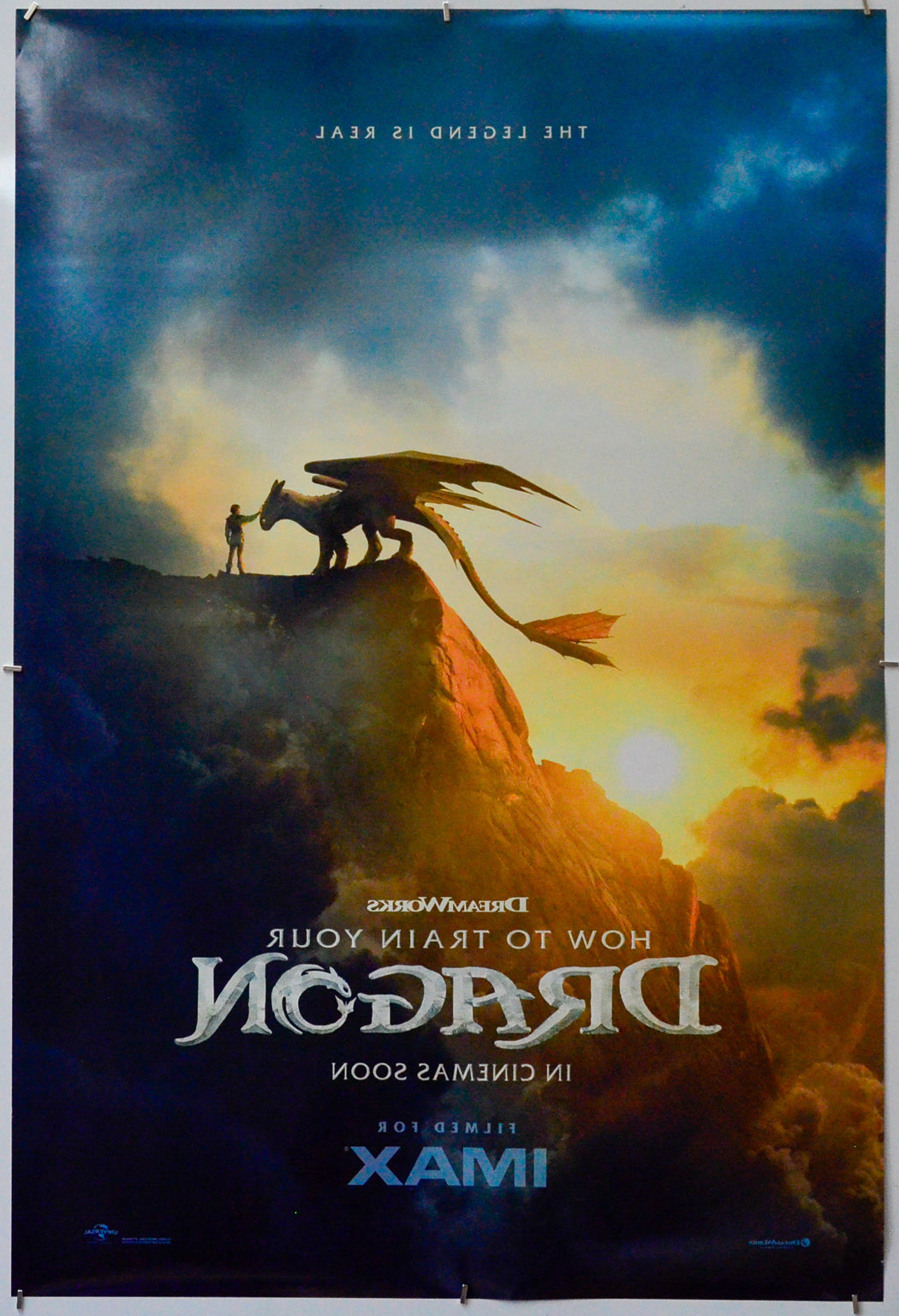 How To Train Your Dragon (Back) Cinema One Sheet Movie Poster 