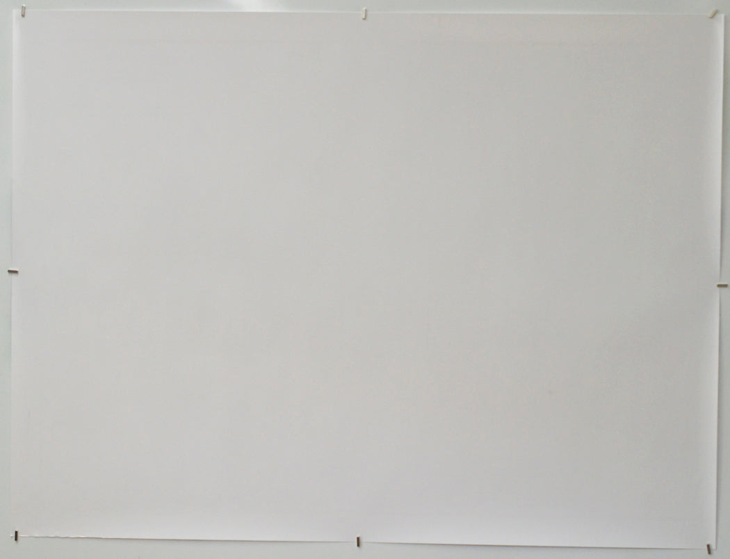 Hundreds Of Beavers (Back) Cinema Quad Movie Poster 