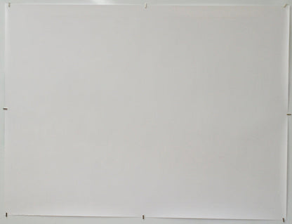 Hundreds Of Beavers (Back) Cinema Quad Movie Poster 