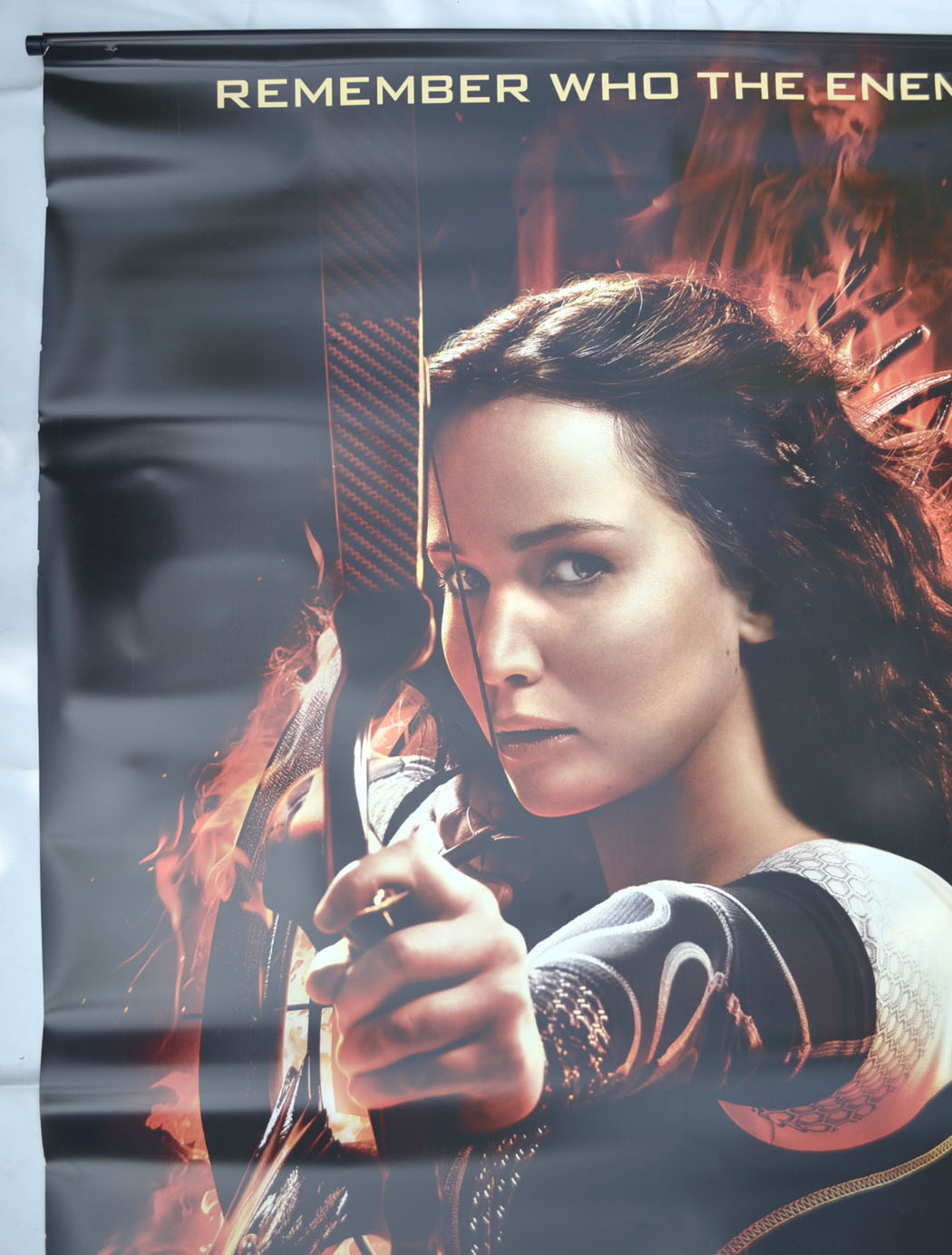 THE HUNGER GAMES : CATCHING FIRE Cinema BANNER Top Left  