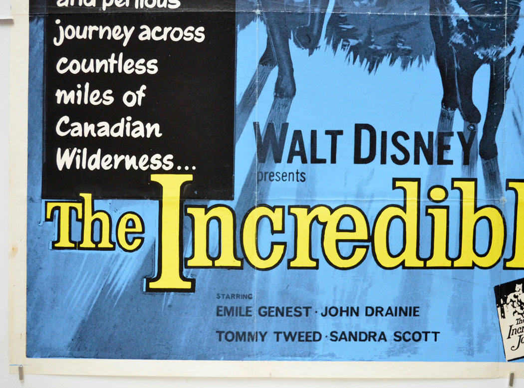 THE INCREDIBLE JOURNEY (Bottom Left) Cinema Quad Movie Poster 