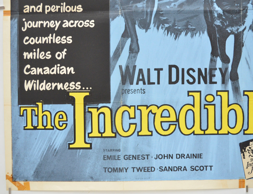 THE INCREDIBLE JOURNEY (Bottom Left) Cinema Quad Movie Poster 