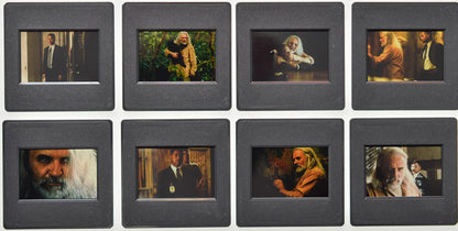 Instinct (Back of Slides) Original 35mm Slides - Cinema Press Slides