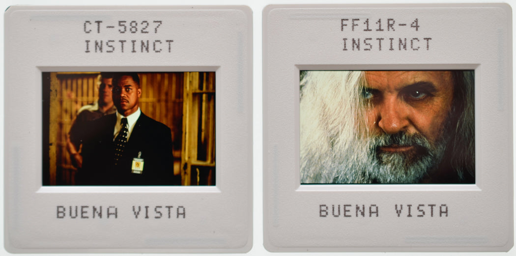 Instinct (Slides 7 and 8) Original 35mm Slides - Cinema Press Slides