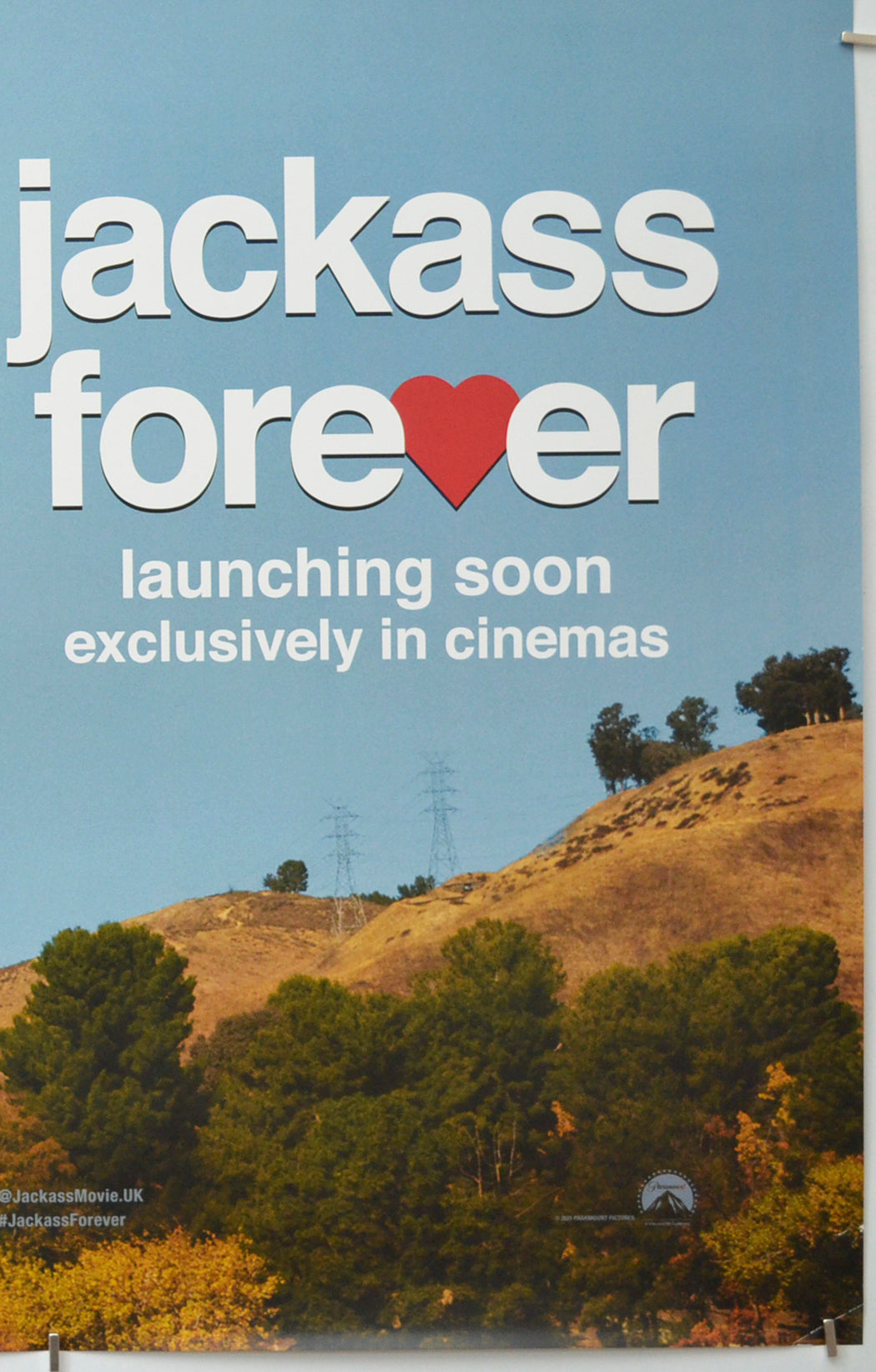 JACKASS FOREVER (Bottom Right) Cinema One Sheet Movie Poster 