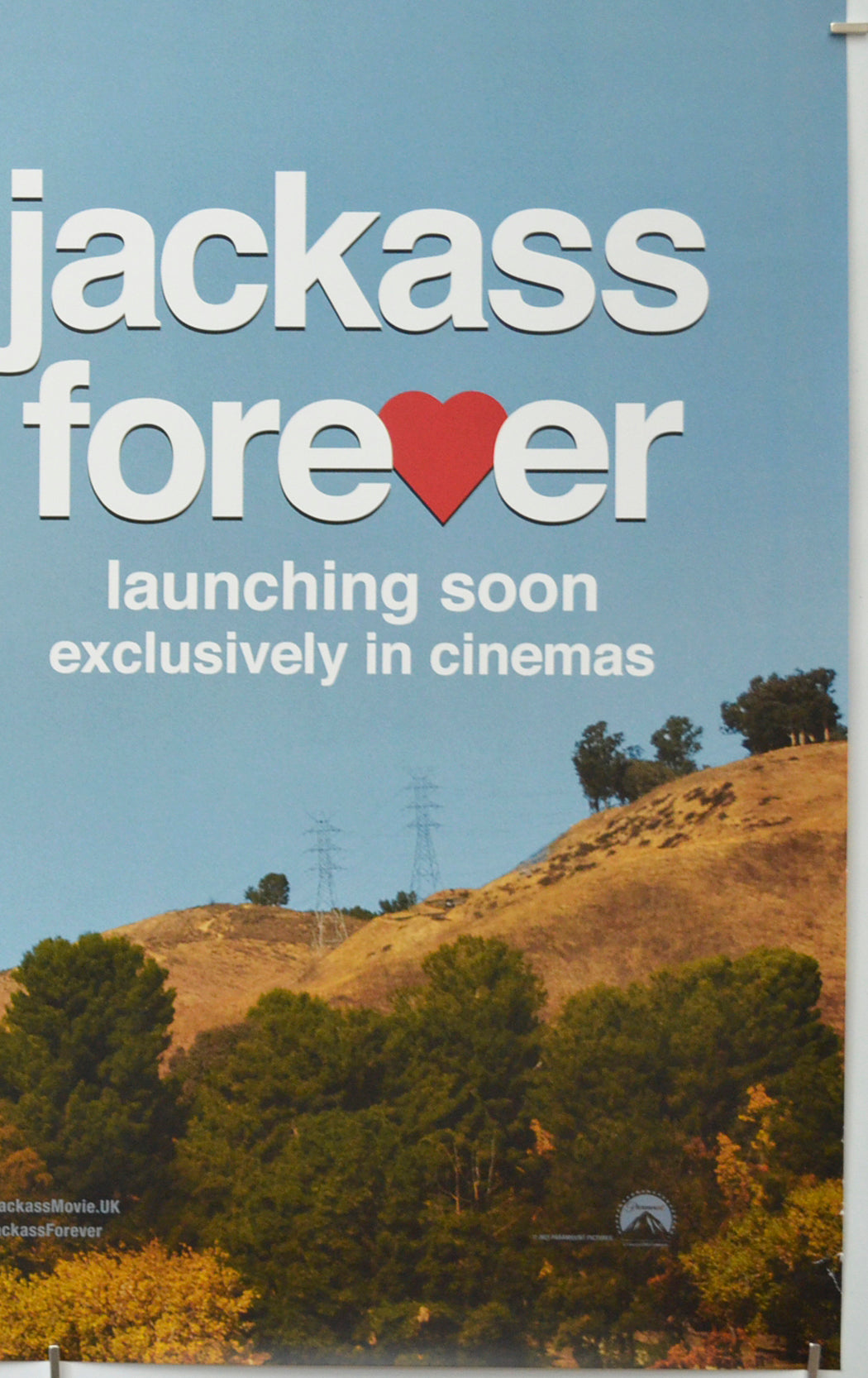 JACKASS FOREVER (Bottom Right) Cinema One Sheet Movie Poster 