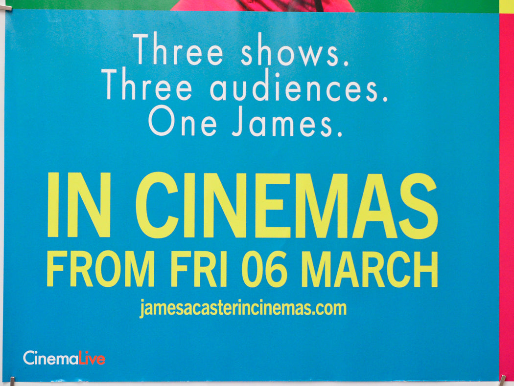 James Acaster - Cinemagoers Welcome (Bottom Left) Cinema Quad Movie Poster 