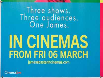 James Acaster - Cinemagoers Welcome (Bottom Left) Cinema Quad Movie Poster 