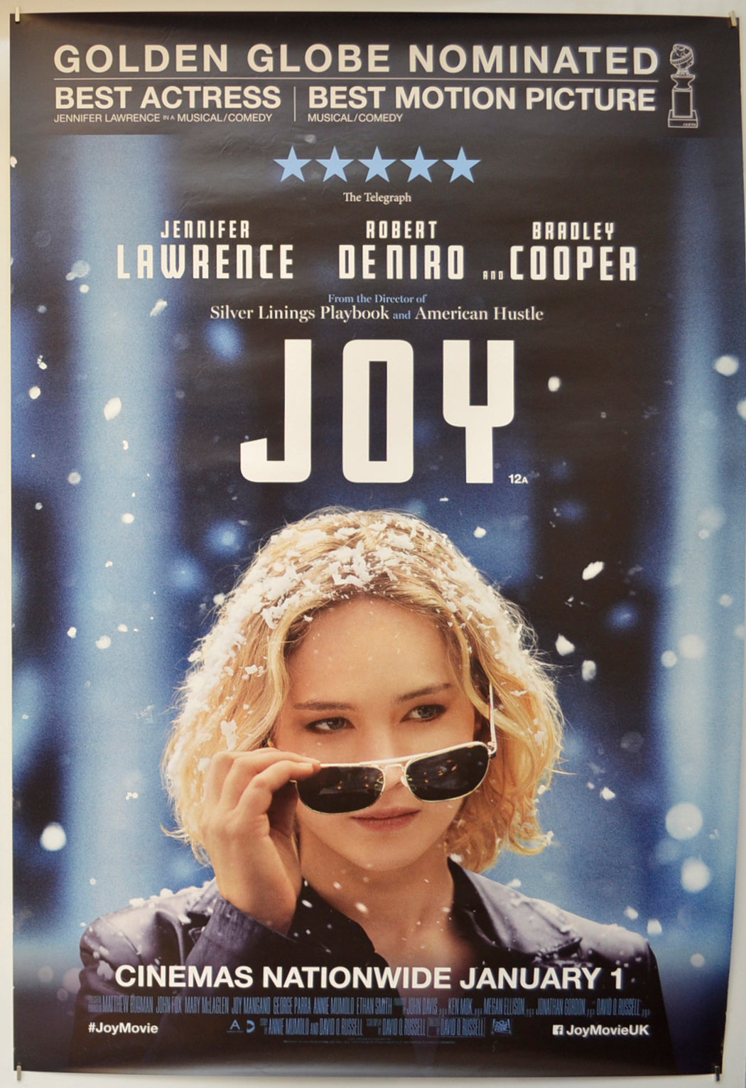 Joy  Original One Sheet Poster - Film Poster - Movie Poster