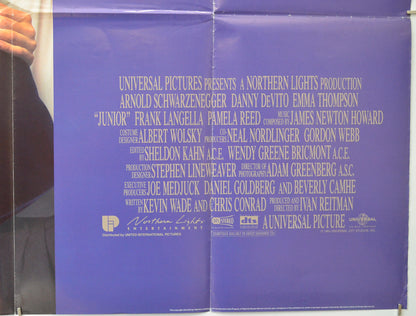 JUNIOR (Bottom Right) Cinema Quad Movie Poster 