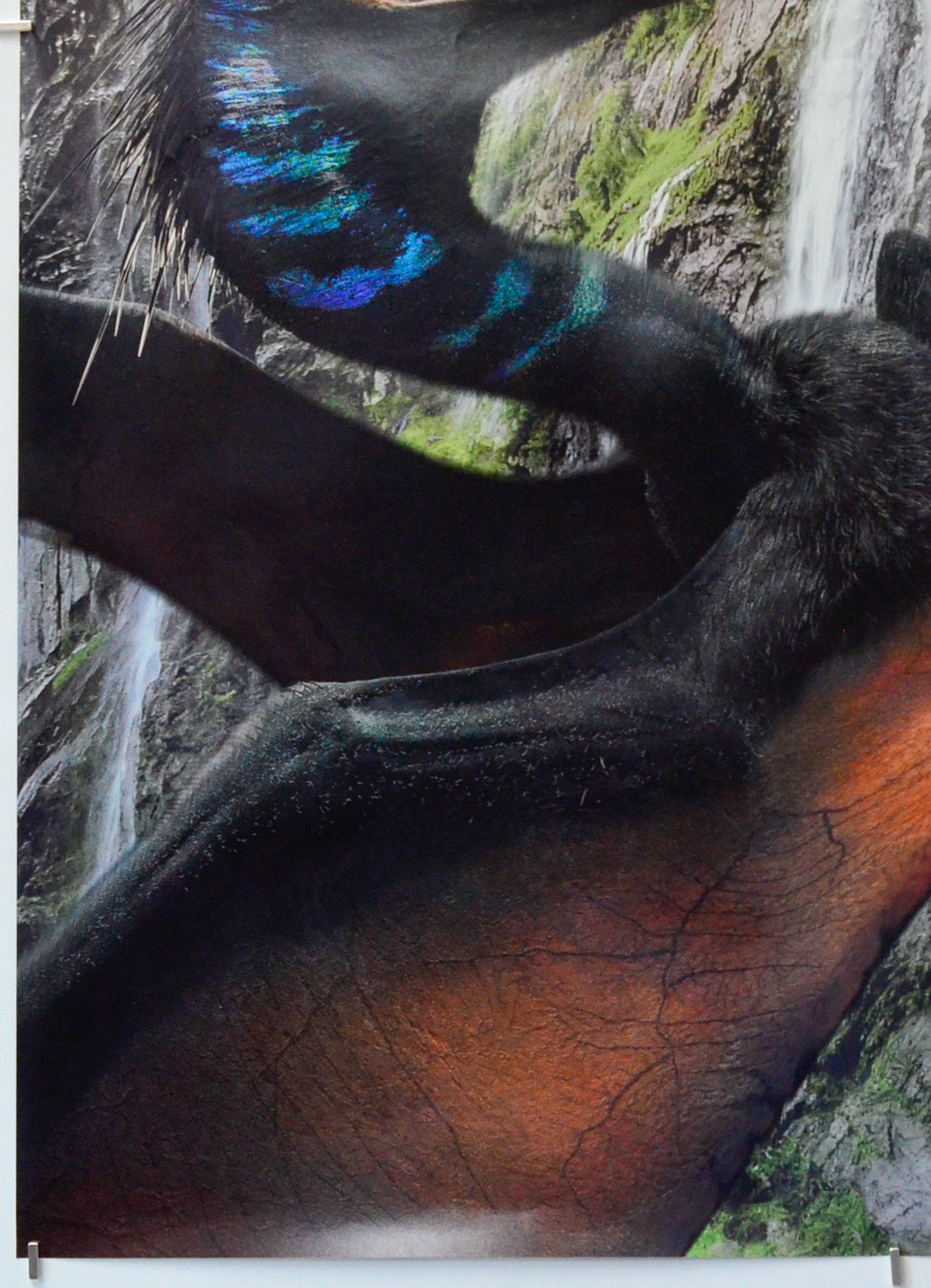 Jurassic World: Rebirth (Bottom Left) Cinema One Sheet Movie Poster 